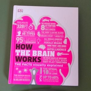 HOW THE BRAIN WORKS: THE FACTS visually explained